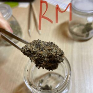 Runtz Muffin (RM)
