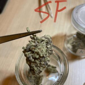 Starfighter (SF)